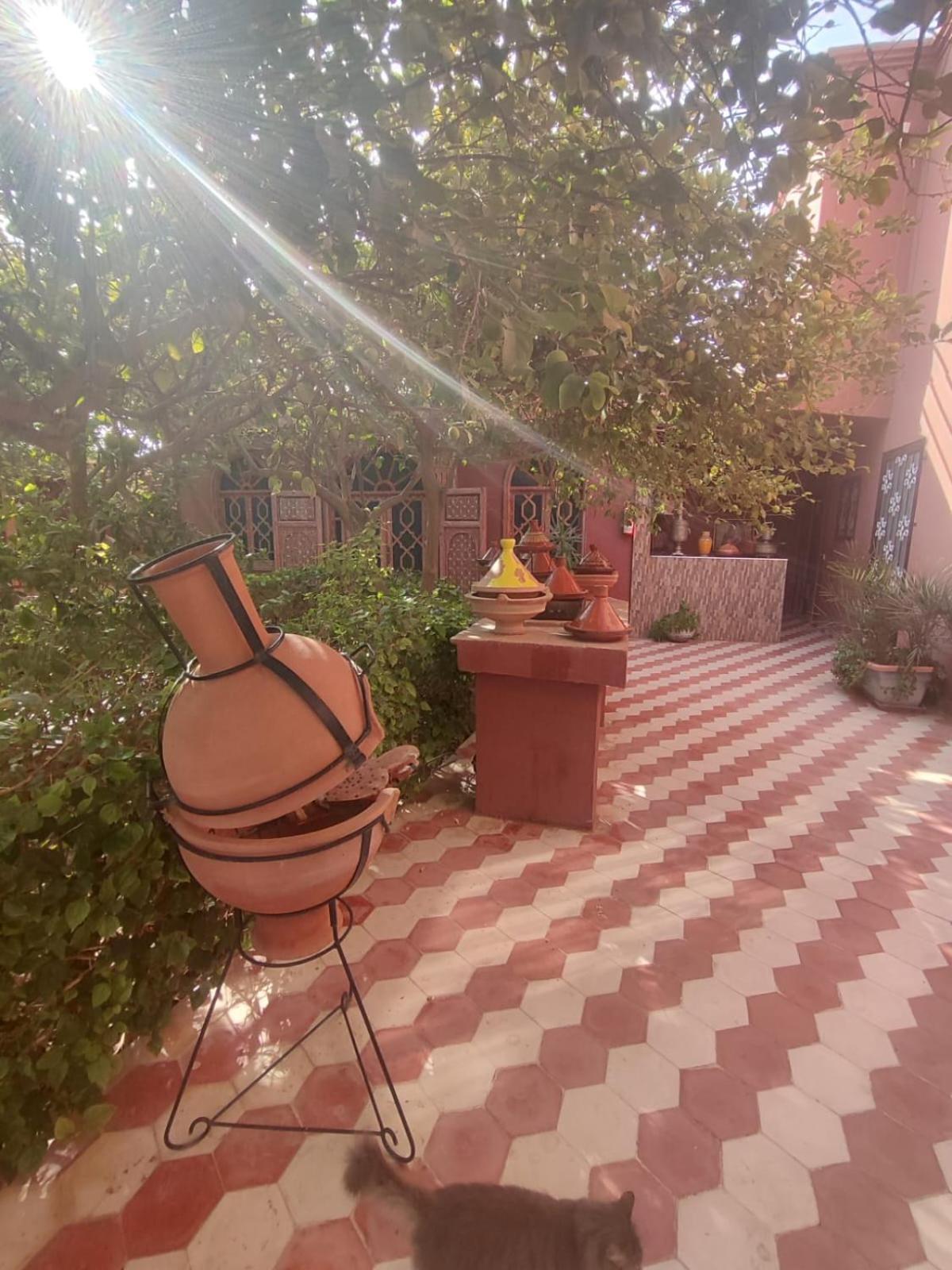 Riad Les Jardins Mabrouk ทารัวแดนท์ ภายนอก รูปภาพ