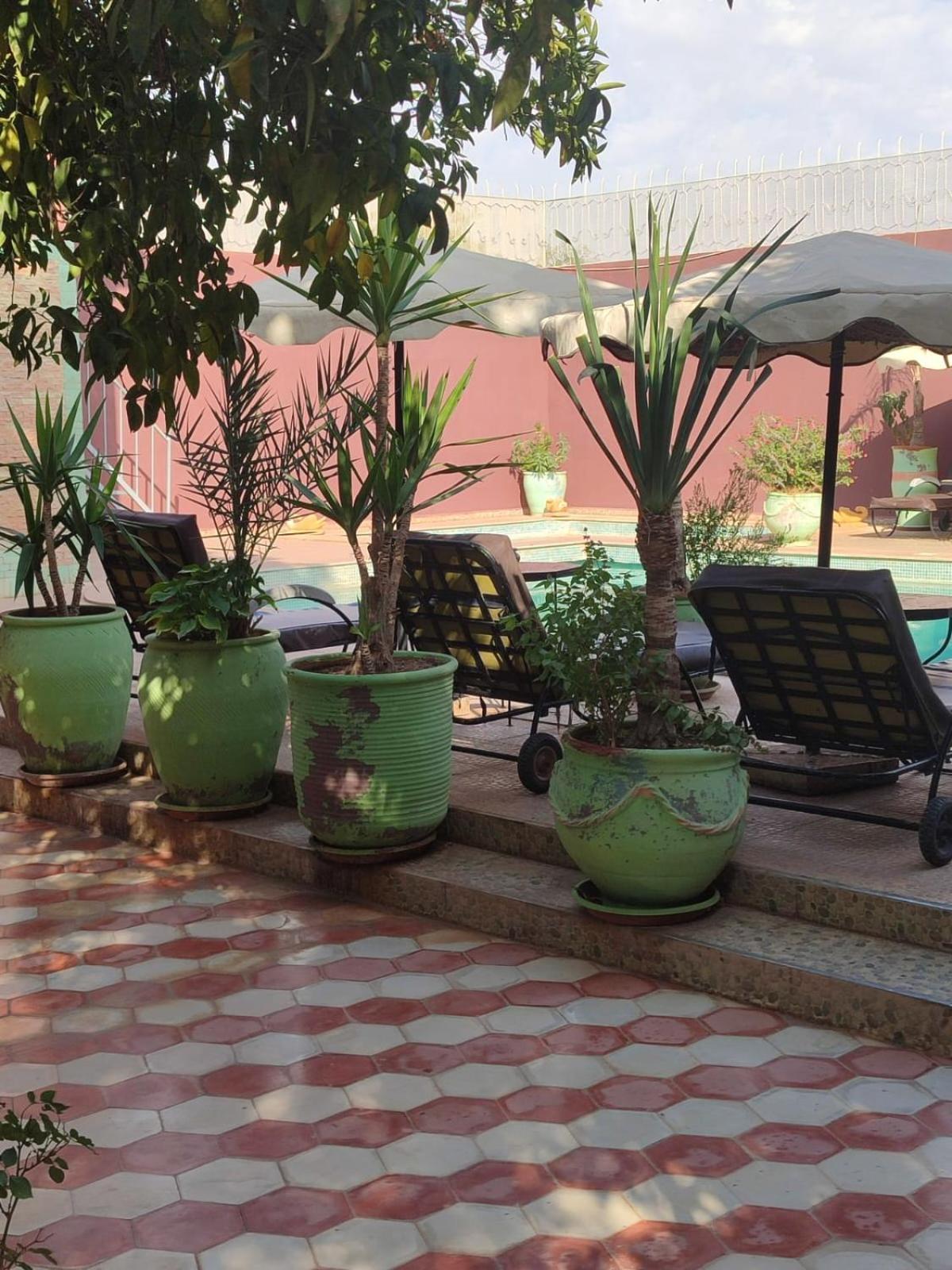 Riad Les Jardins Mabrouk ทารัวแดนท์ ภายนอก รูปภาพ