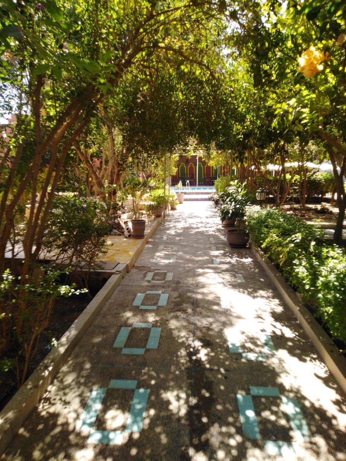 Riad Les Jardins Mabrouk ทารัวแดนท์ ภายนอก รูปภาพ